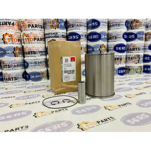 HATZ 0000 016 796 10, 01679610 PISTON LINER KIT, HATZ PARTS — 2
