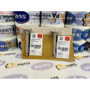 HATZ 0000 051 451 01, 05145101 VALVE INLET, HATZ PARTS