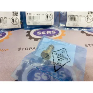 BOSCH F 002 D13 579 HOLLOW SCREW — 3