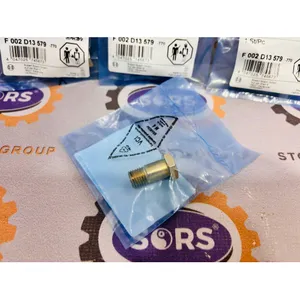BOSCH F 002 D13 579 HOLLOW SCREW