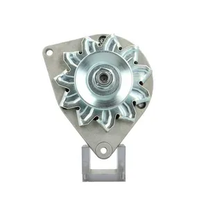 Mahle Lichtmaschine für Antonio Carraro 352 354 452 454 455 502 504 505-704 9800