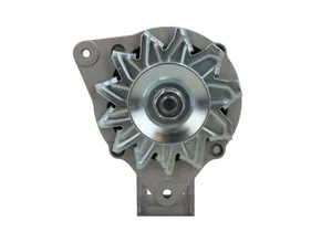 Mahle Lichtmaschine für David Brown 885 990 995 996 1190 1212 1290 1390-1690