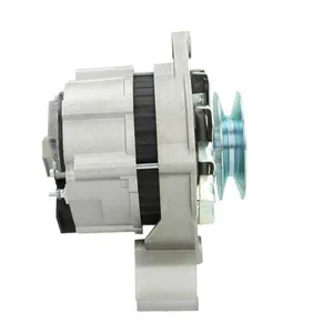 Mahle Lichtmaschine Generator für Hürlimann H-345 — 4