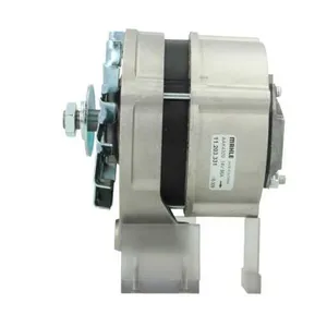 Mahle Lichtmaschine Generator für Kramer 750 850 950 1150 380 480 580 680 — 2