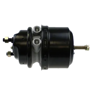 EBS 02.06.1624.501 SPRING BRAKE - DISC - TY16/24 ( 9254645010 )