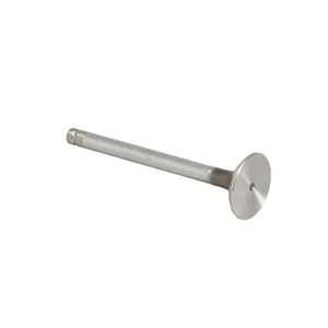 02/101607 JCB Exhaust Valve Standard