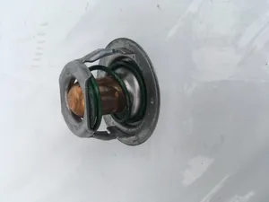 Thermostat Suits JCB 30D 02/632114 — 2