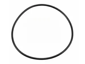 BPW GENUINE WHEEL HUB O-RING