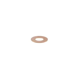 Pai 042094 Cummins 3930324 Copper Washer