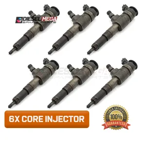 BOSCH CR INJECTOR 0445110252 CORE 9656588980 PEUGEOT CITROEN (6 Pcs Pack)