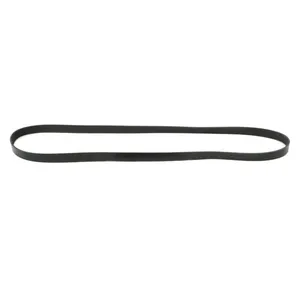 Pai 050475 Cummins 3289659 Serpentine Belt