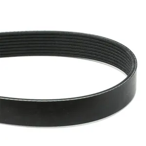 Pai 050475 Cummins 3289659 Serpentine Belt — 2