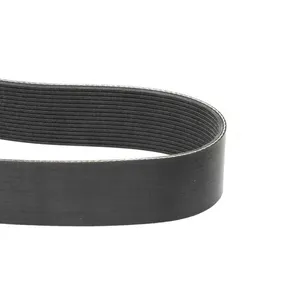 Pai 050476 Cummins 3002203 Serpentine Belt — 2
