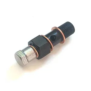 Denso PFR banjo bolt with bleed screw