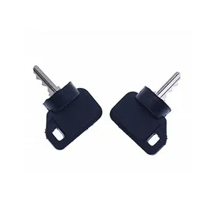2Pcs Ignition Switch Key 09287000 09089700 for Ariens Gravely