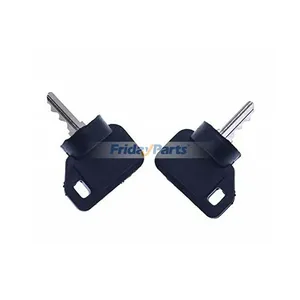 2Pcs Ignition Switch Key 09287000 09089700 for Ariens Gravely
