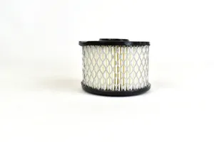 Solberg Air Filter Replacement - 100