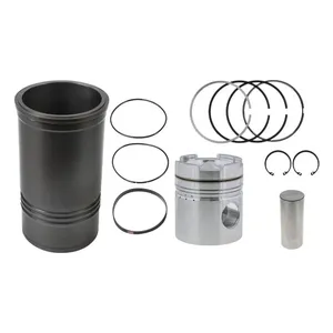 Pai 100981 Cylinder Kit