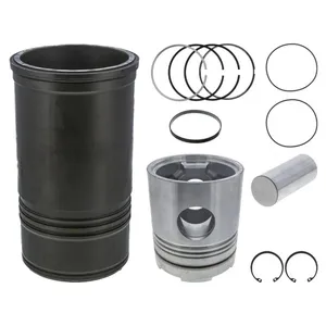 Pai 101046 Cylinder Kit