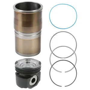 Pai 101164 Cylinder Kit