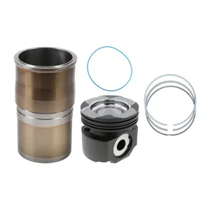 Pai 101173 Cylinder Kit