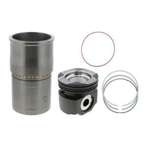 Pai 101174 Cylinder Kit