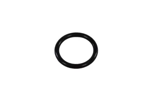 Caterpillar C15, 3406E O-Ring, New (1090078) — 3