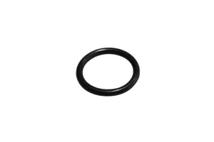Caterpillar C15, 3406E O-Ring, New (1090078)