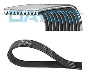 VOLVO REN BELT (DAYCO)