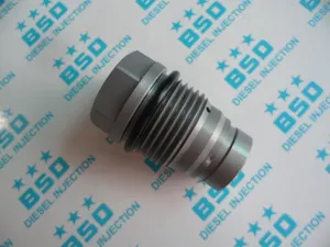 Common Rail Pressure Relief Valve 1110010028