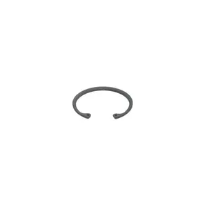 Pai 111097 Cummins 3939375 Ring