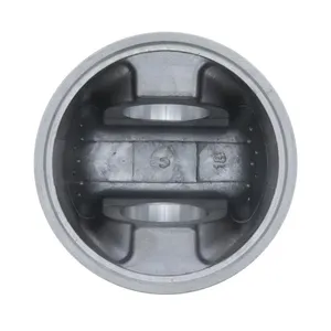Pai 111129 Cummins 3045948 Dual-Ni Piston — 6