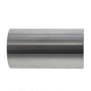 Pai 111174 Cummins 3016650 Short Piston Pin — 2
