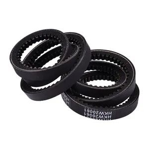 2 Pcs V-Belt 121-5765 for Toro Timemaster Turfmaster 30" Mower 20199 20975 20200 20975 20977 21810 21811 22200 22207 22210 22225 22235 — 2