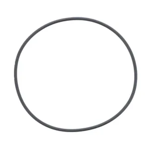 Pai 121204 Cummins 3032874 O-Ring — 2