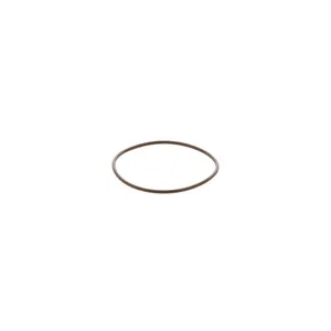 Pai 121206 Cummins 3969697 O-Ring