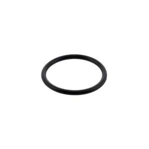 Pai 121224 Cummins 3029847 O-Ring — 2