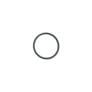 Pai 121224 Cummins 3029847 O-Ring