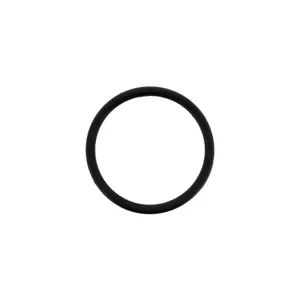 Pai 121224 Cummins 3029847 O-Ring — 3