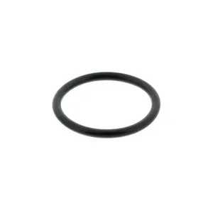 Pai 121229 Cummins 3050667 O-Ring
