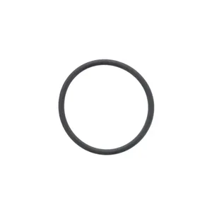 Pai 121250 Cummins 3073966 O-Ring — 2