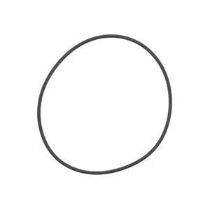 Pai 121384 Cummins 3684384 O-Ring — 2