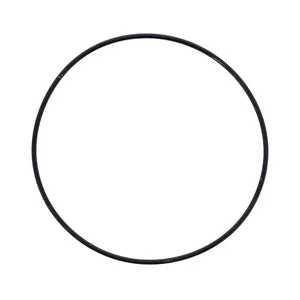 Pai 121389 Cummins 4019274 O-Ring — 2