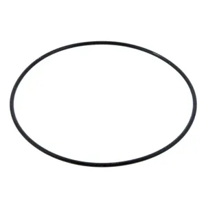 Pai 121389 Cummins 4019274 O-Ring