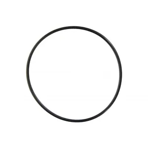 Pai 121419 Cummins 3090127 O-Ring