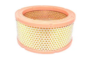 Curtis Air Filter Replacement - 1260004