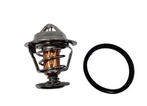 Thermostat 3TNE68, 3TNE78…