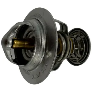 Yanmar YM-129155-49801 Thermostat — 2