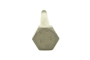 Caterpillar C13, C12, C10 Screw, New (1293184) — 5