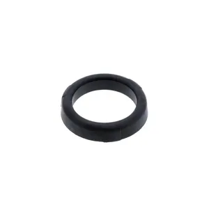 Pai 131861 Cummins 5255450 Oil Cap Gasket